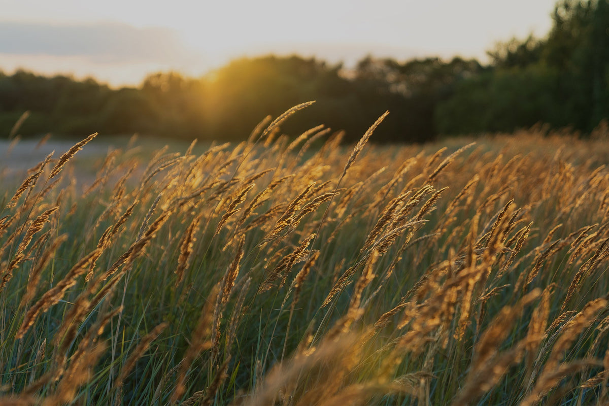Bookshop - New – Our Daily Bread Ministries