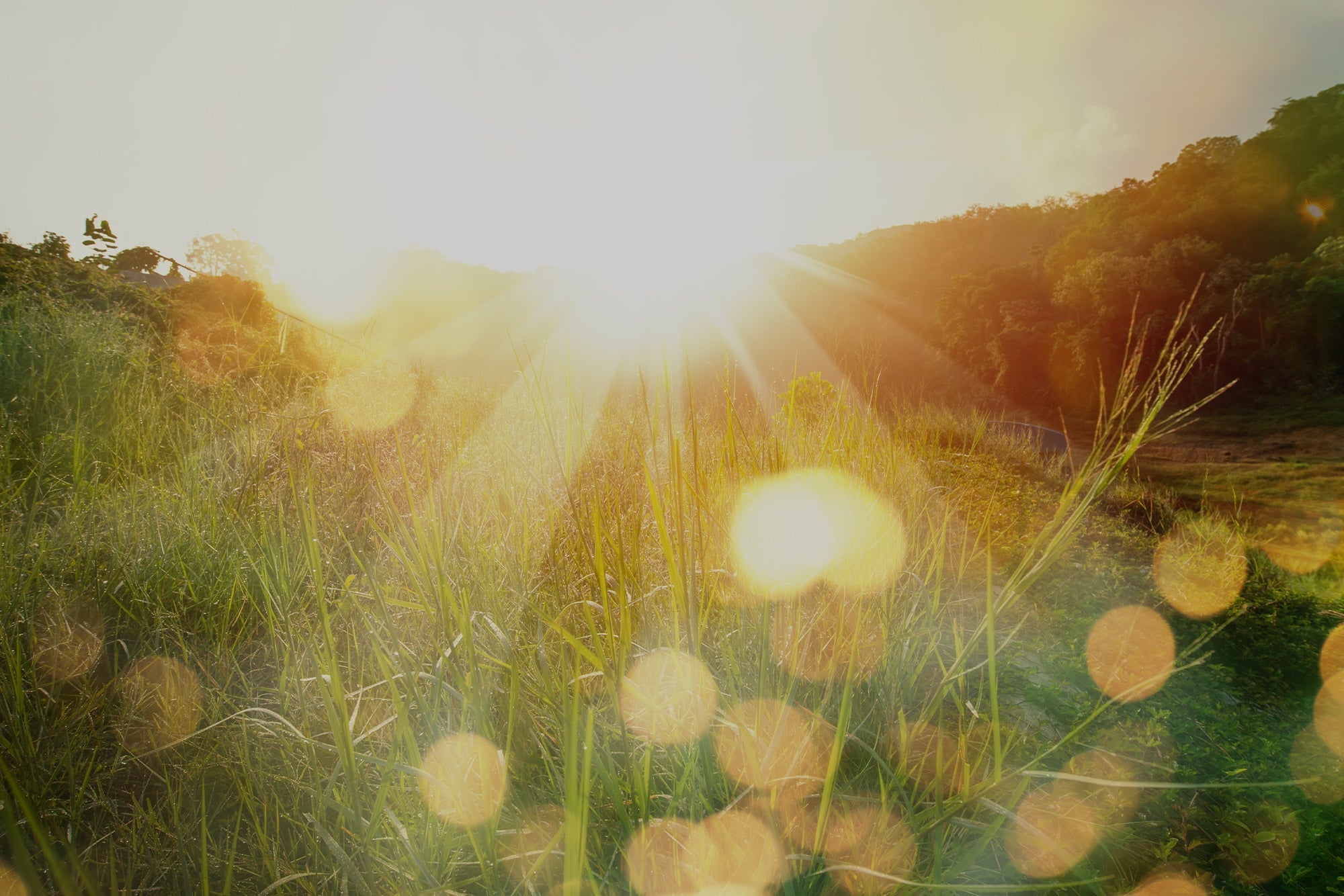 Devotionals - Bookshop