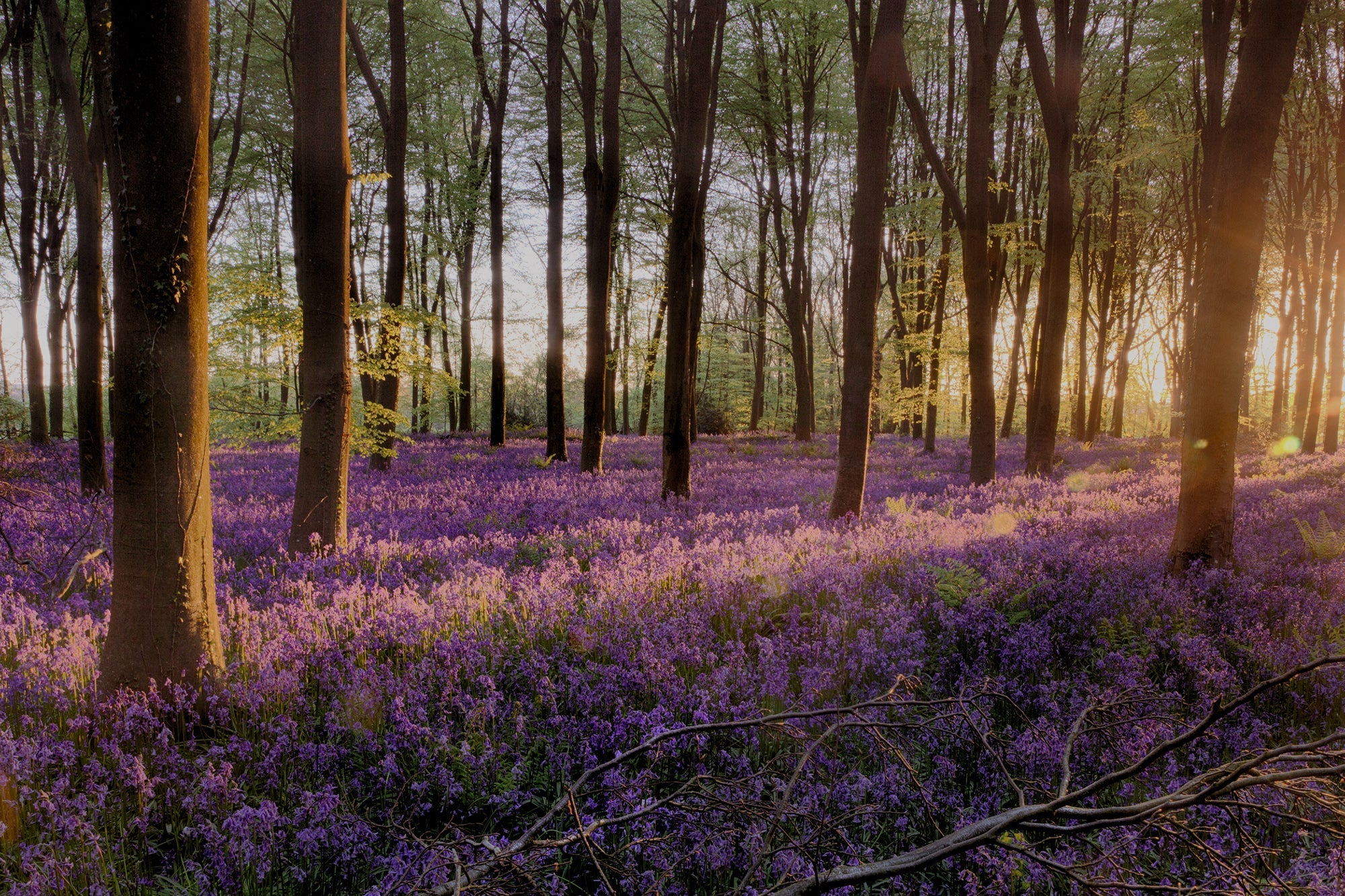 Stationery New - Bookshop