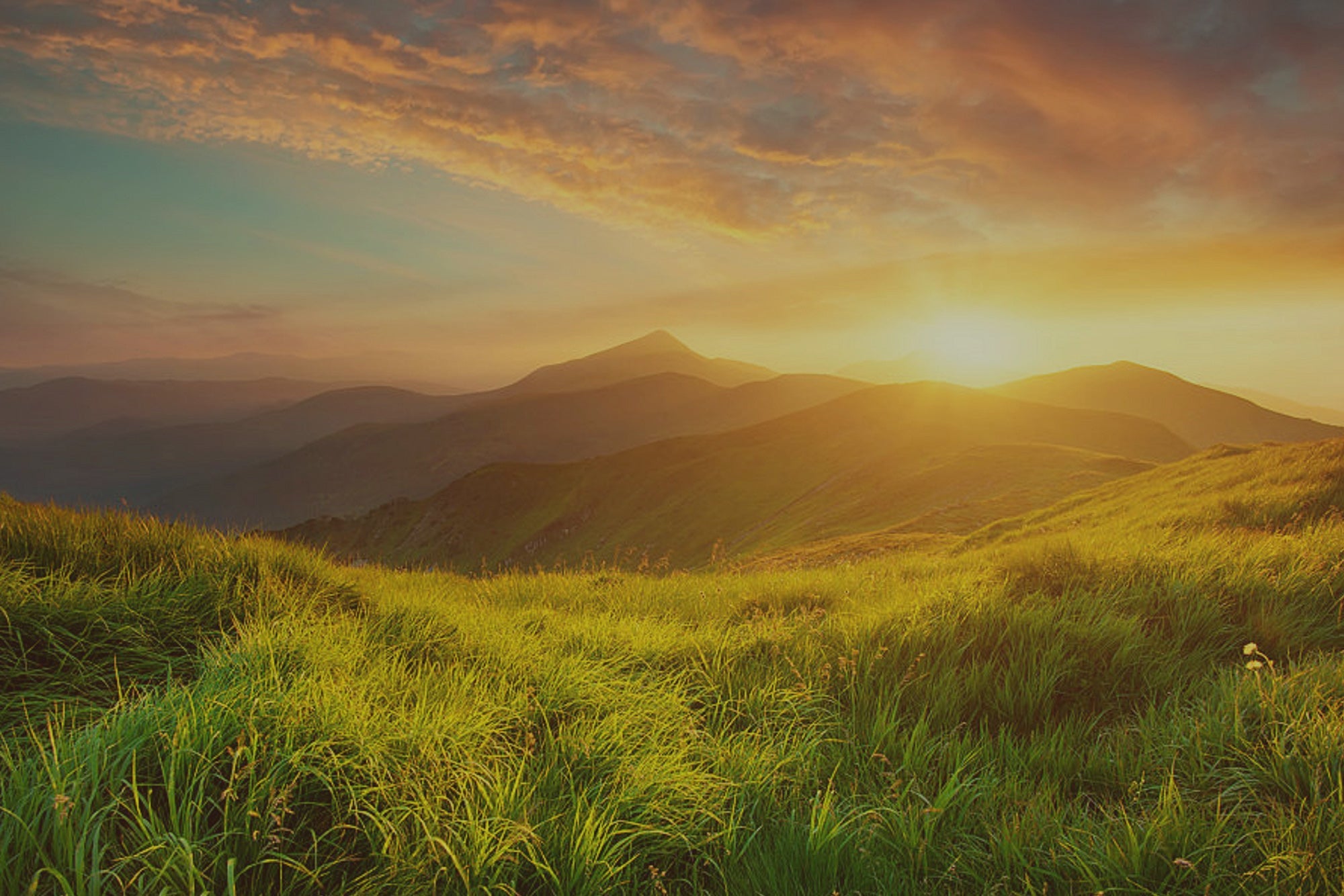 Art Prints - Bookshop