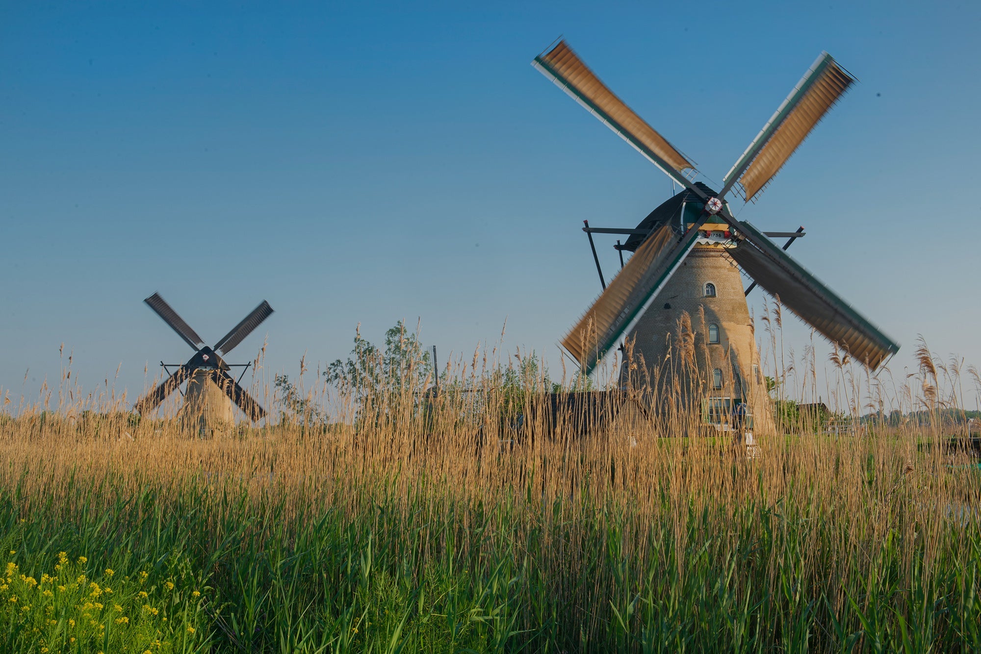 Calendars & Planners - Bookshop