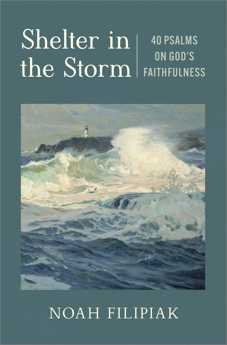 Shelter in the Storm