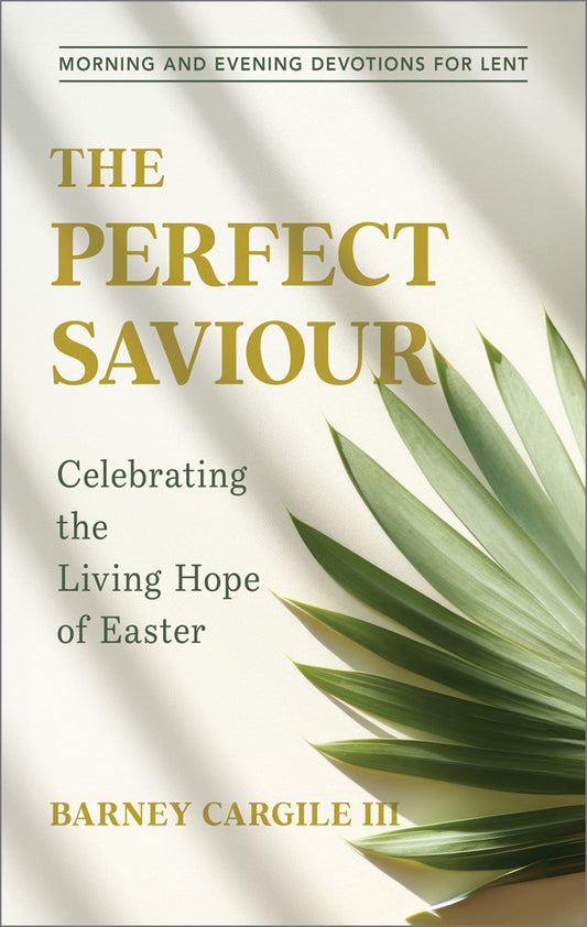 The Perfect Saviour