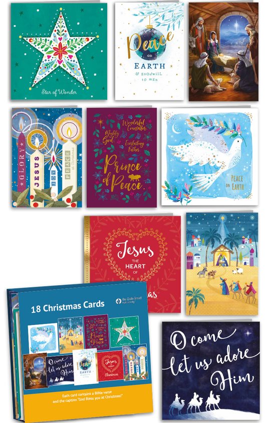 Christmas Card Variety Pack 2022