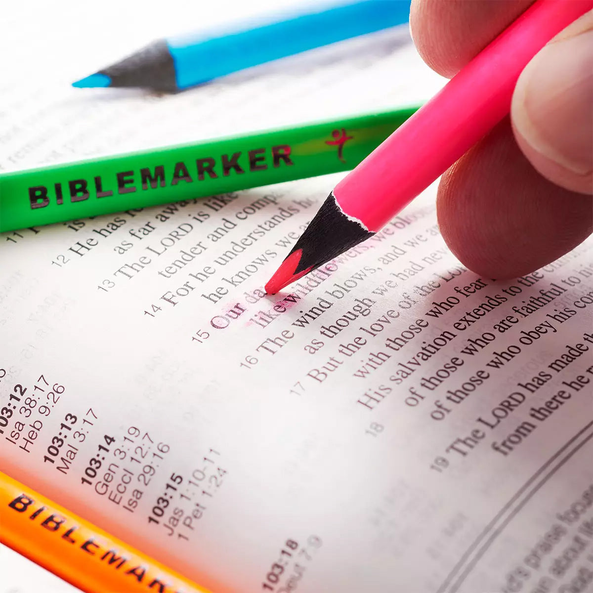 Bible Highlighter Pencils